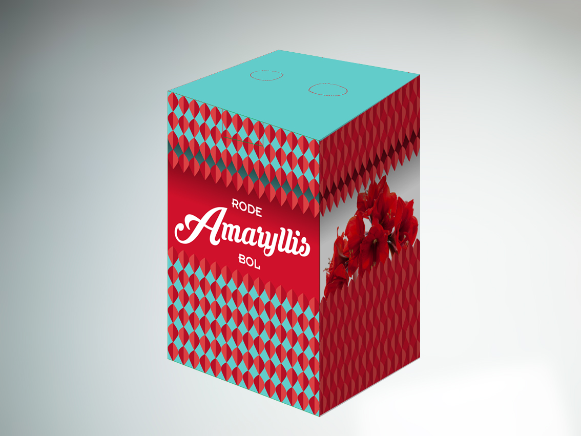 Amaryllis-verpakking